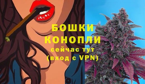 амф Нефтекумск