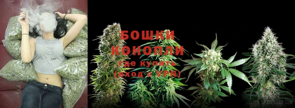 2c-b Гусь-Хрустальный